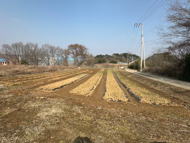 충남 당진시 송악읍 전대리 351-2 토지