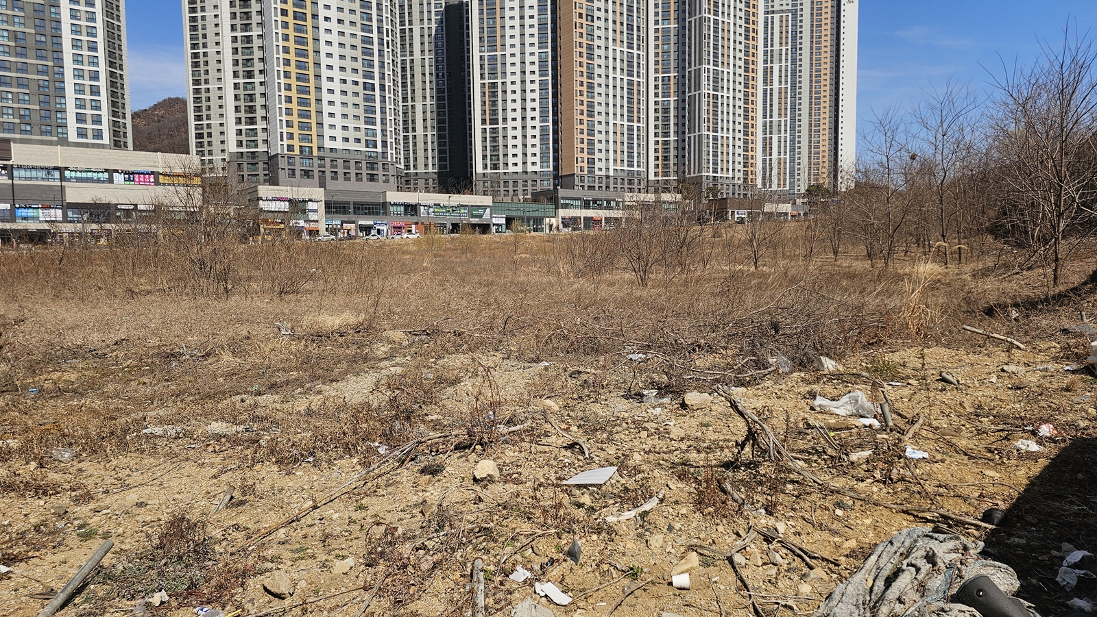 자산 이미지