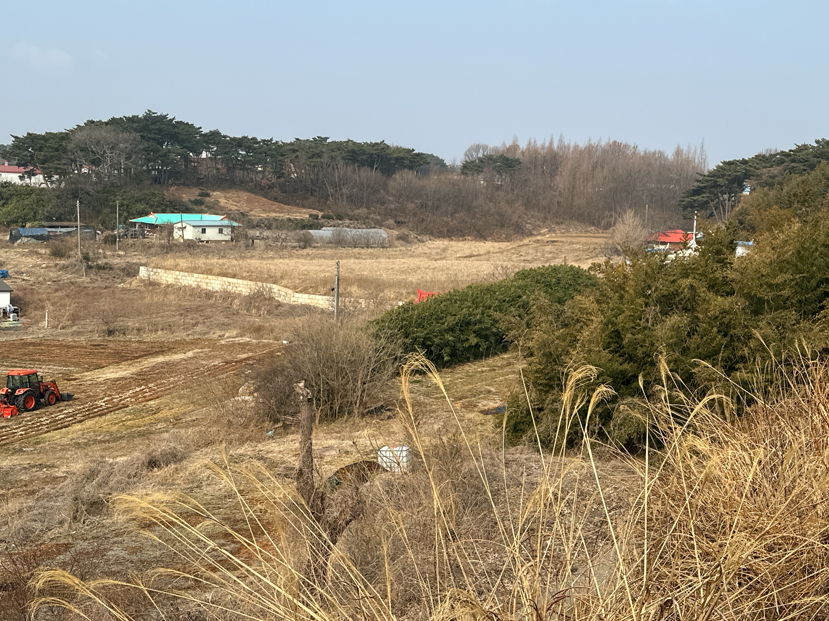자산 이미지