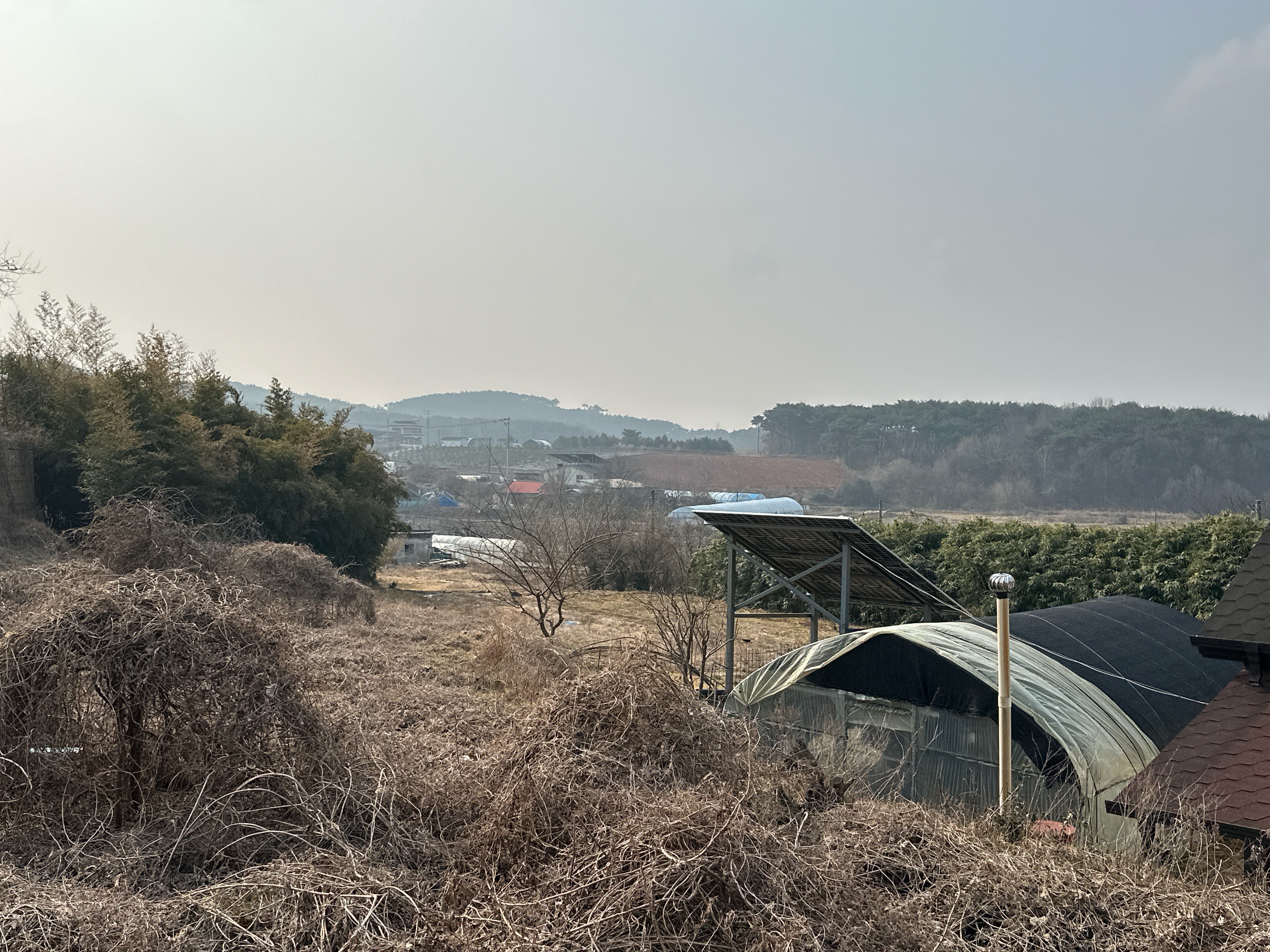자산 이미지