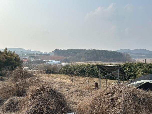 충남 당진시 석문면 삼봉리 479-1 외2필지 토지