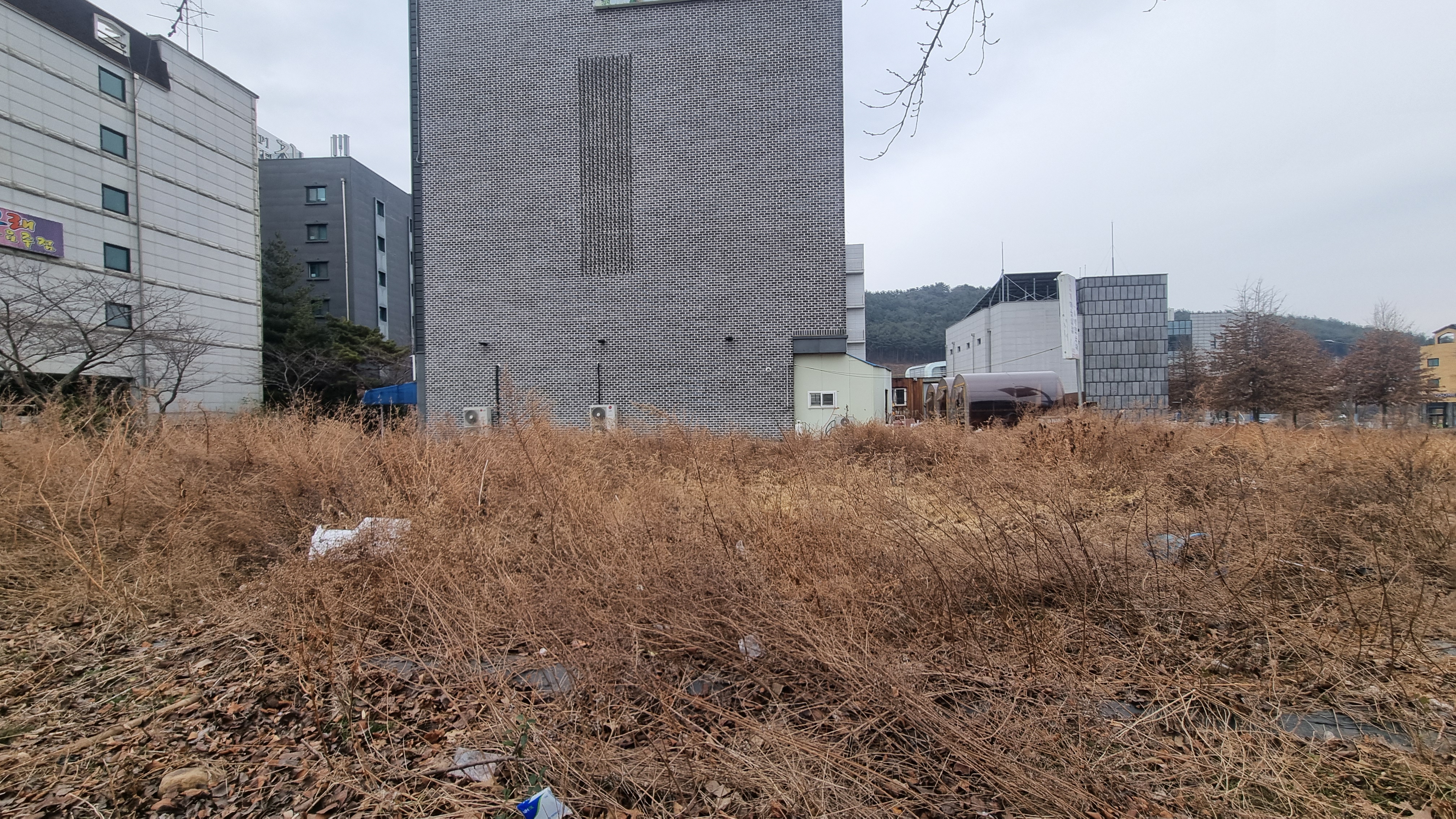 자산 이미지