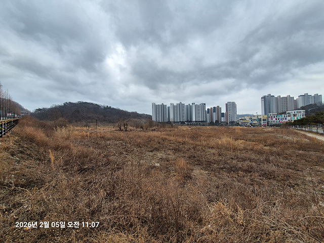 자산 이미지