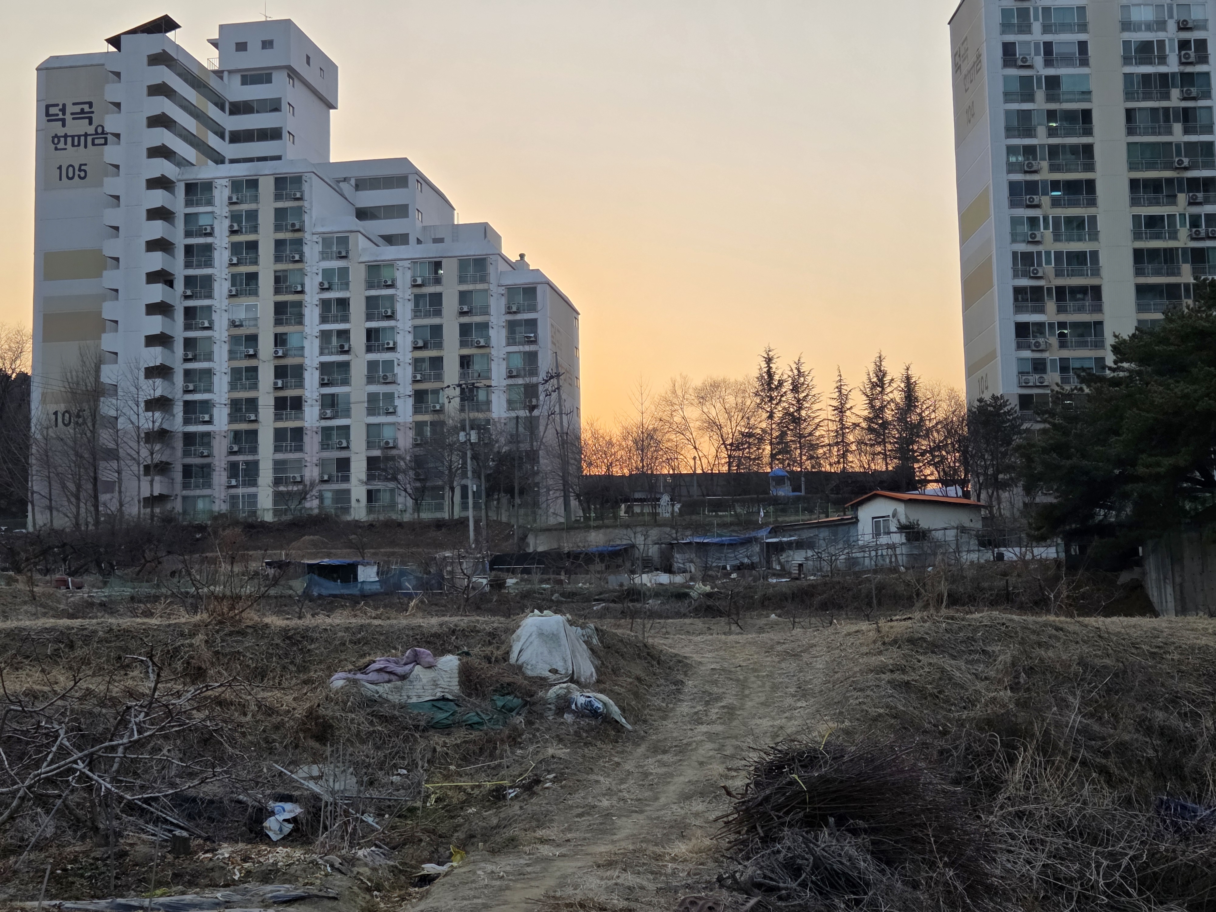 자산 이미지