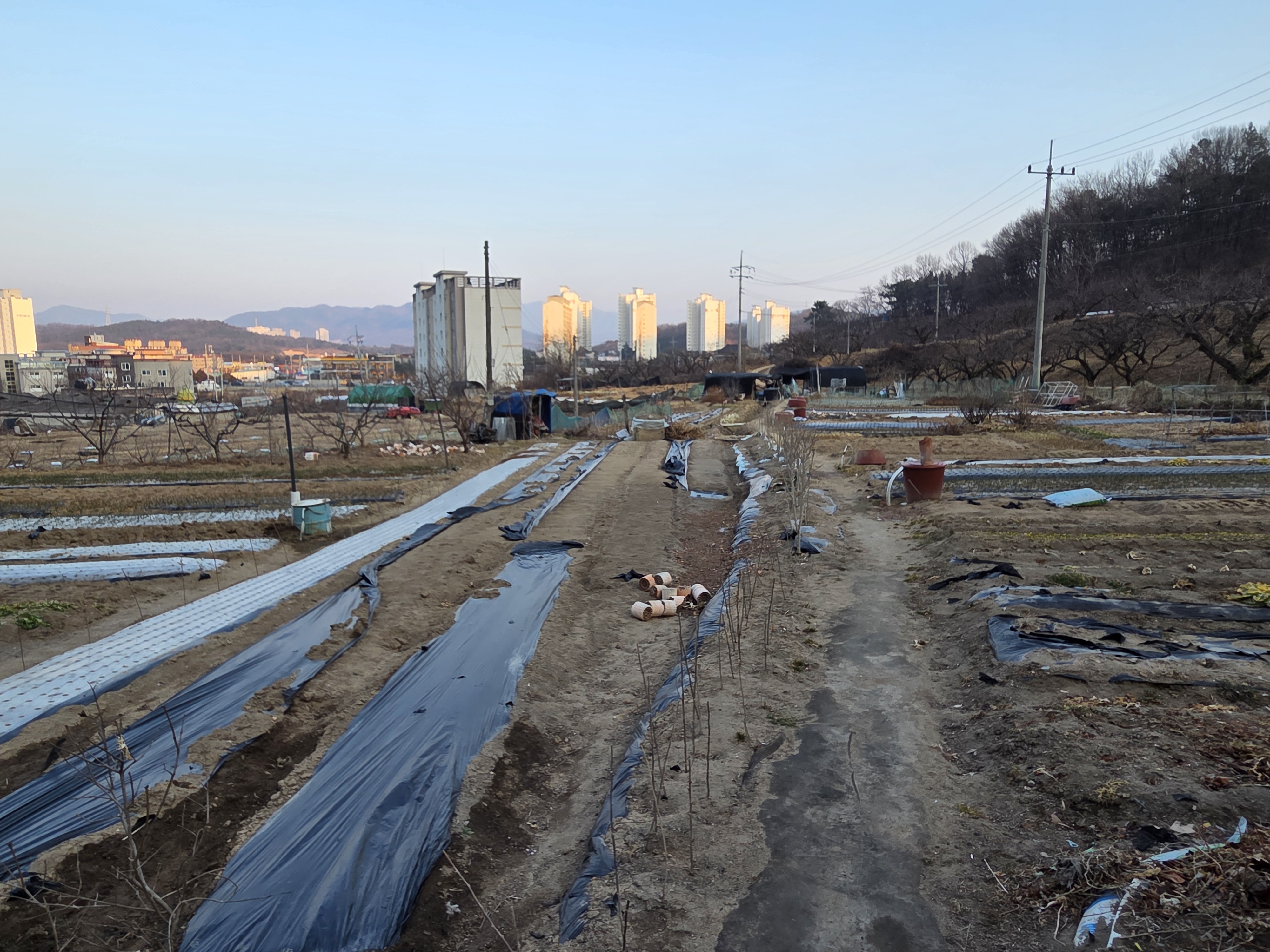 자산 이미지