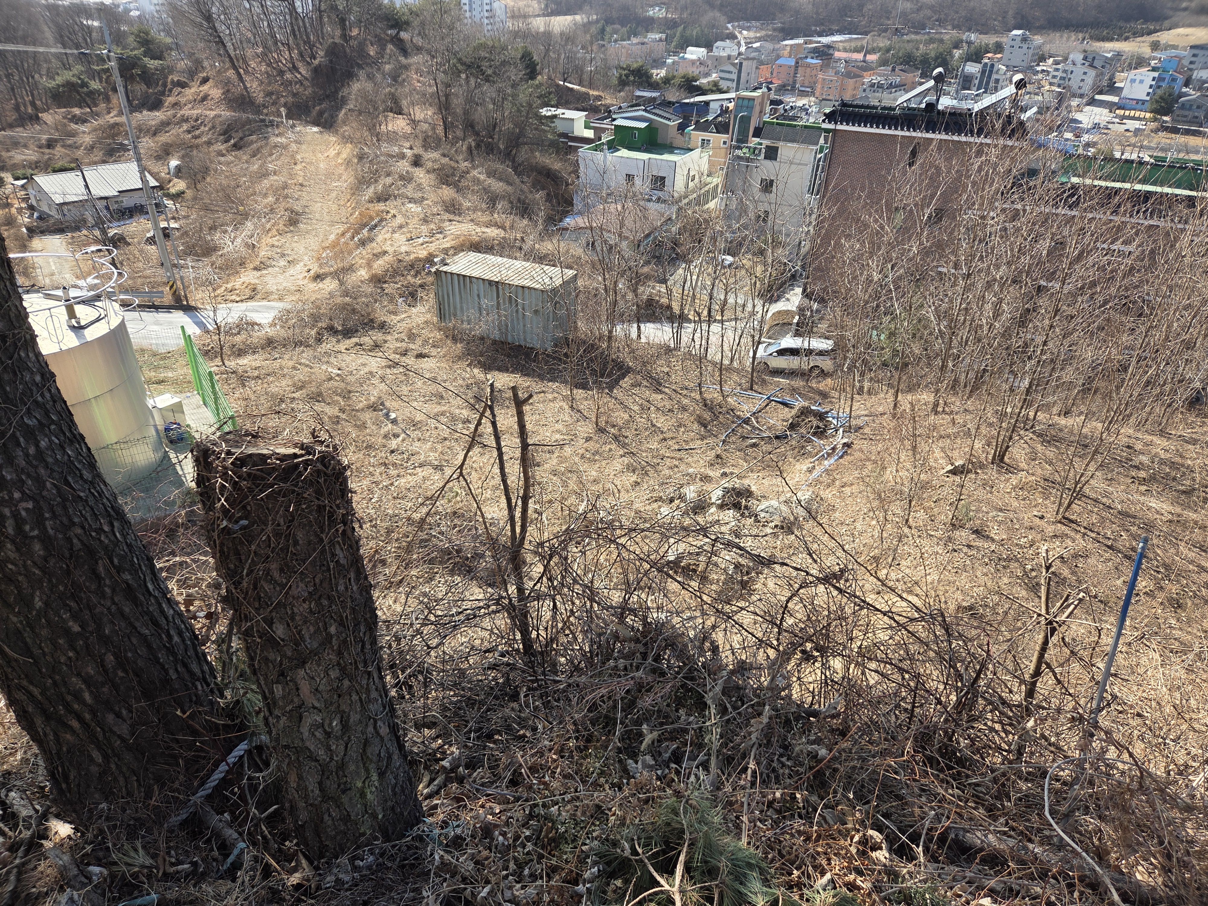 자산 이미지