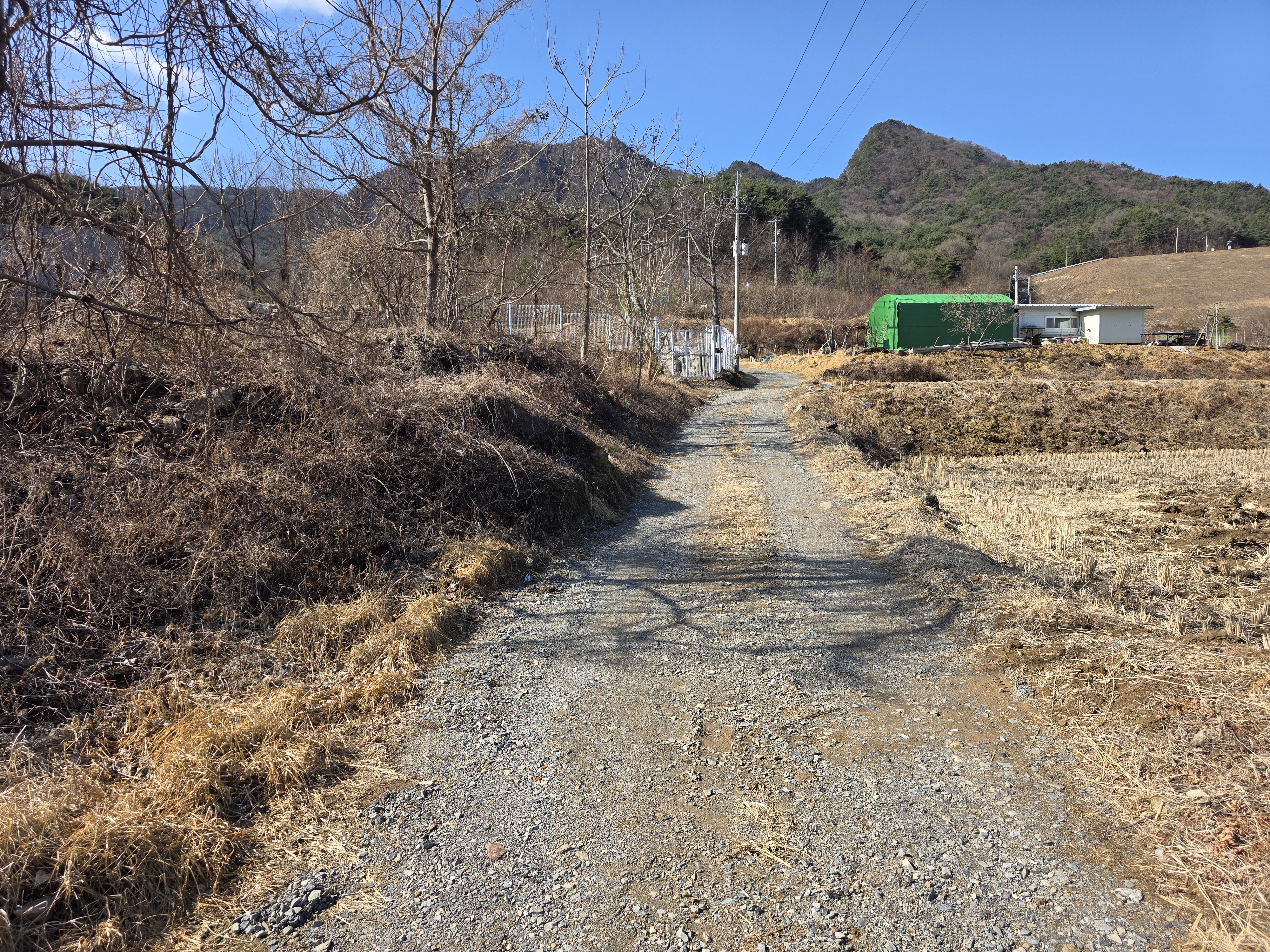 자산 이미지