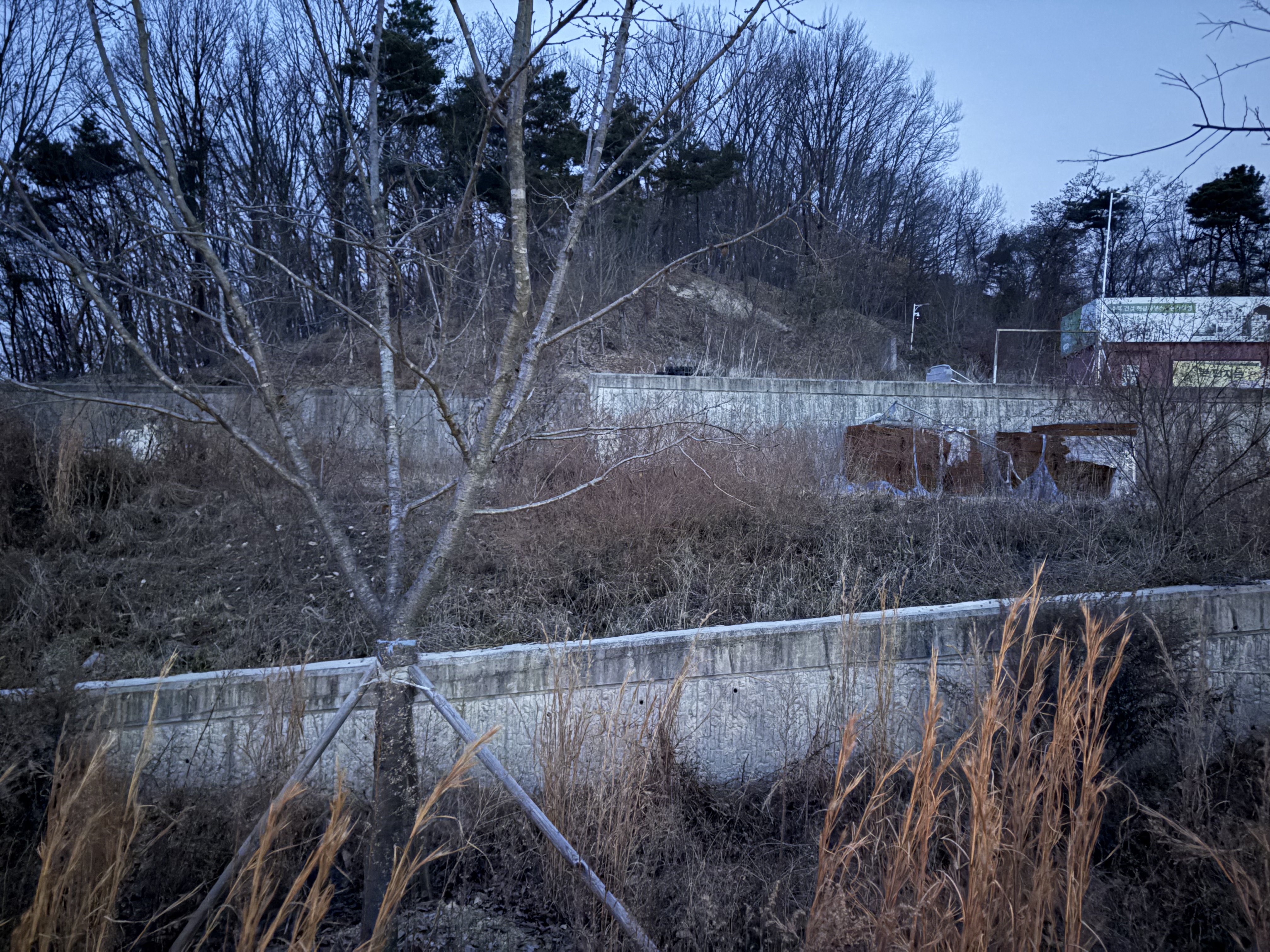 자산 이미지