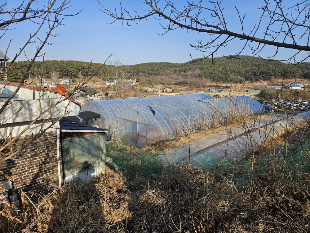 자산 이미지