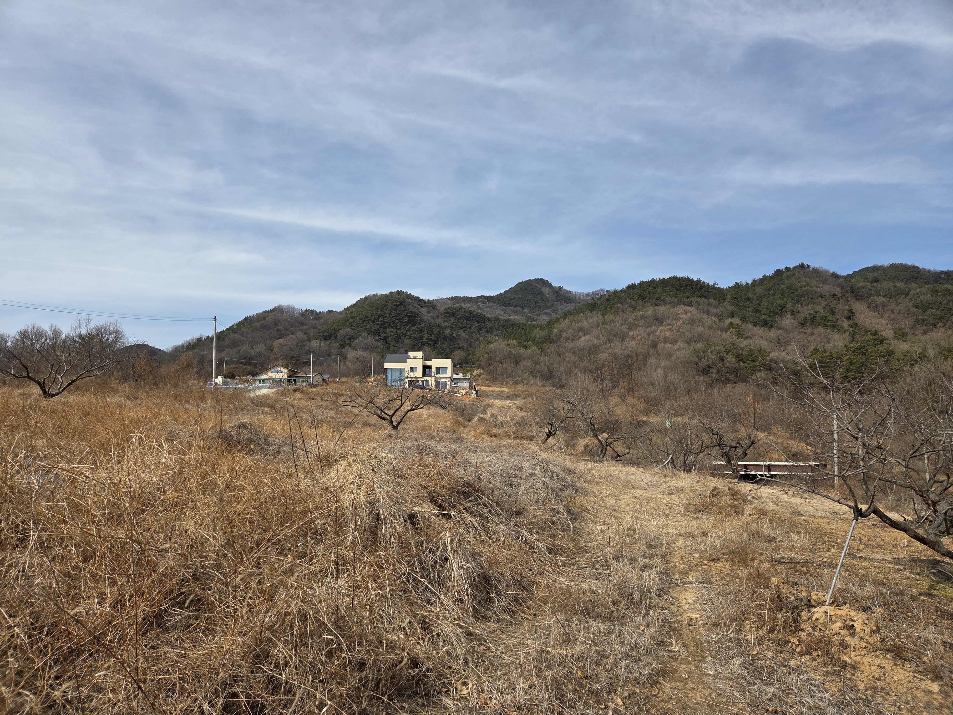 자산 이미지