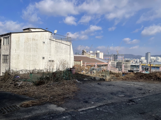 대전광역시 중구 대사동 토지