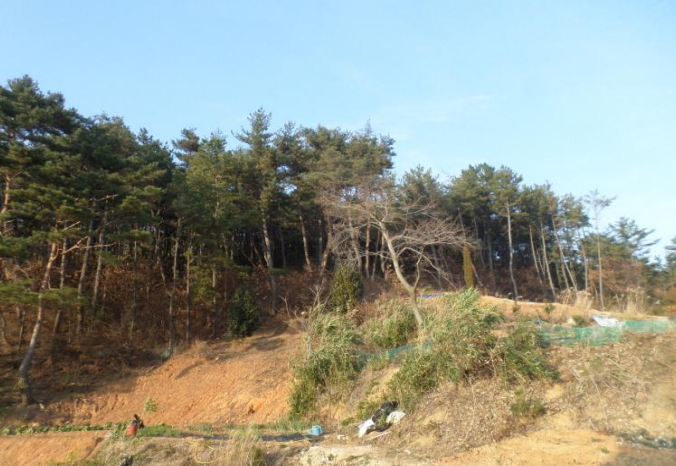 자산 이미지