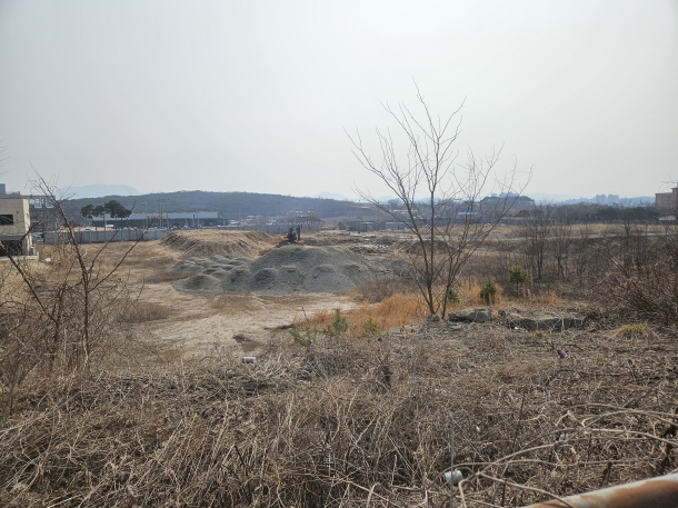 충남 홍성군 홍성읍 개발부지[전, 임야]