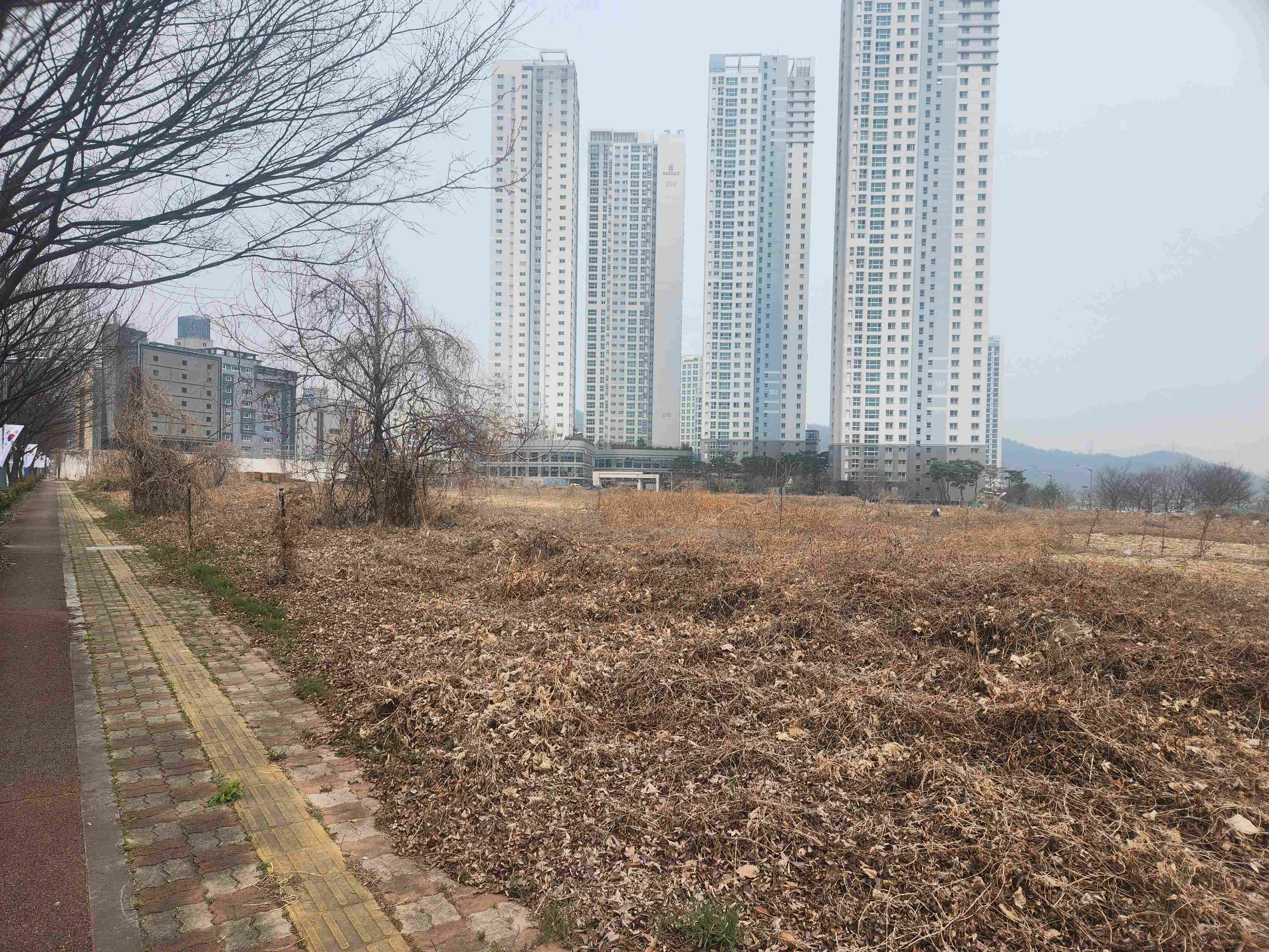 자산 이미지